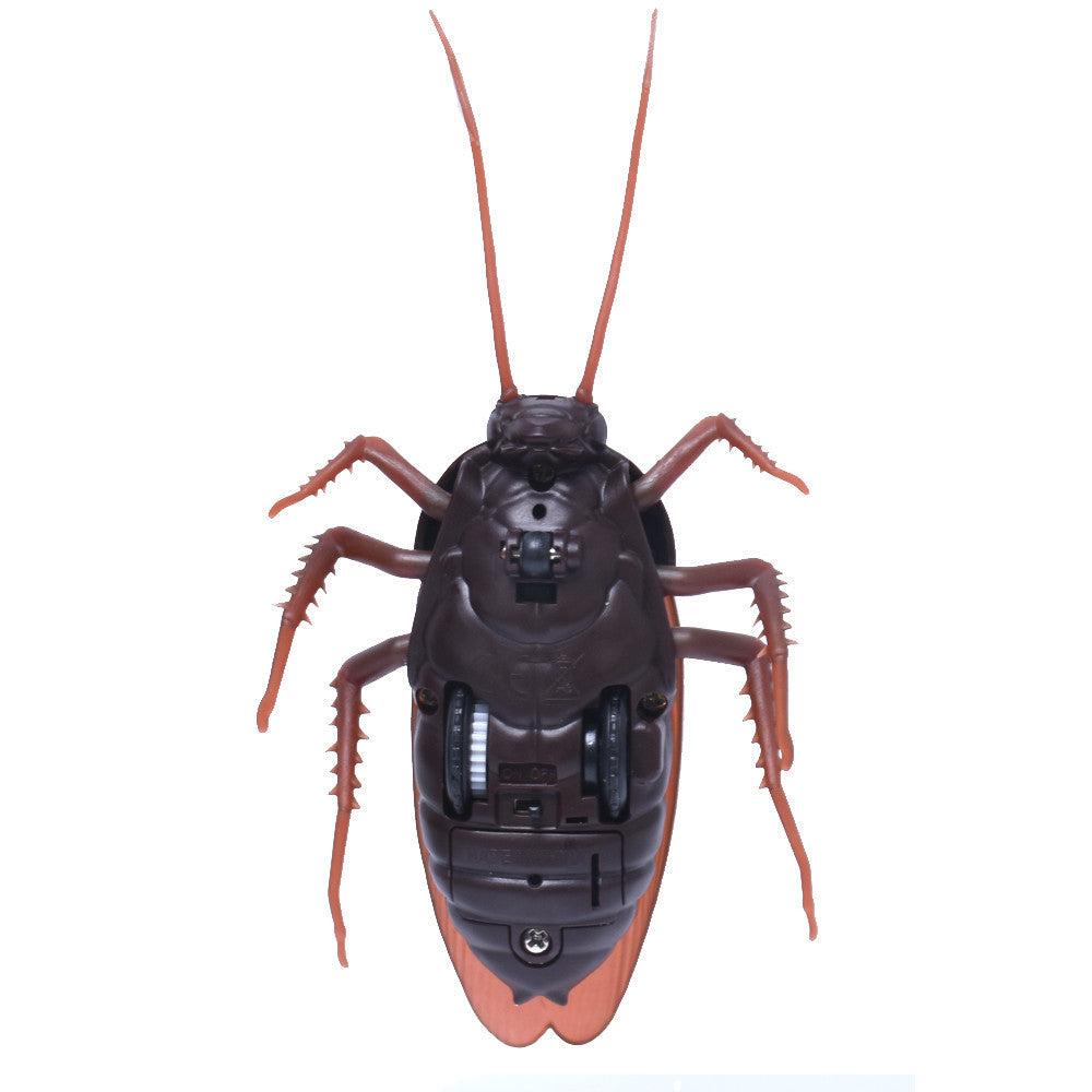 Cockrouch Toy Remote Control Cockroach Toy - TheHottestStuff.com